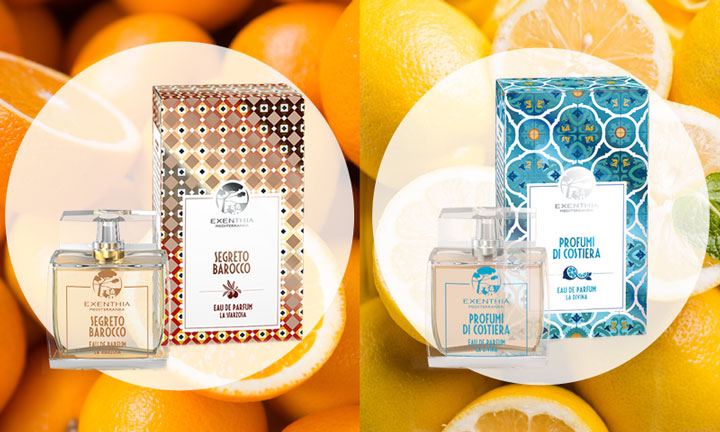 Gli agrumi: fonte inesauribile di vitamine e benessere.