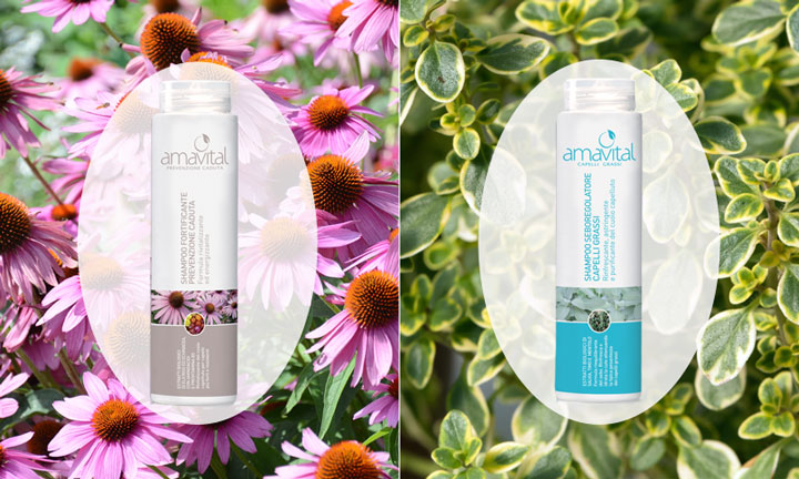 Il potere curativo delle piante.