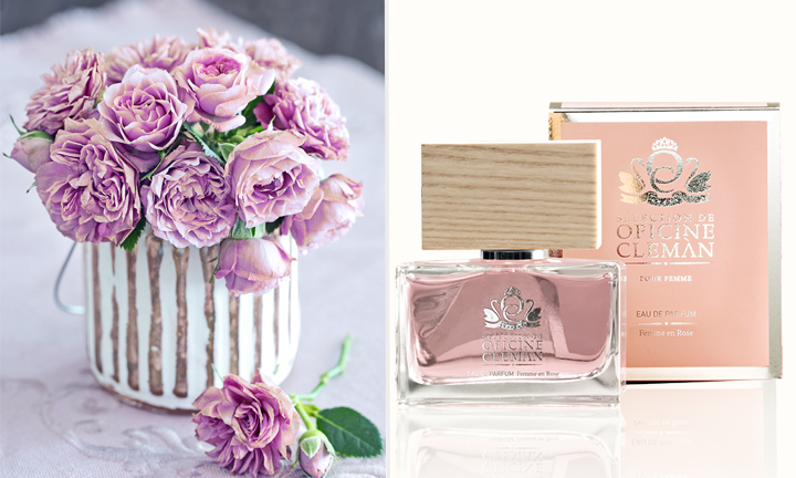 Police nero? Scopri i benefici delle piante nel tuo appartamento.