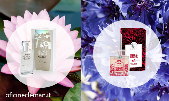 Fragranza perfetta? Scopri il significato dei fiori.